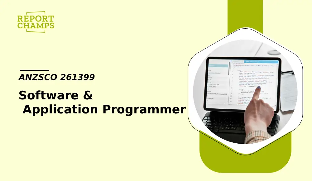 Software & Application Programmer