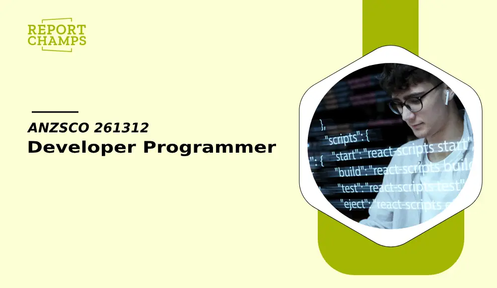 Developer Programmer