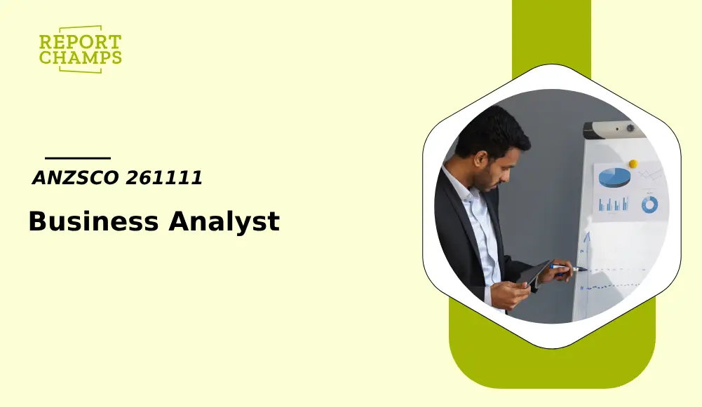 Business Analyst