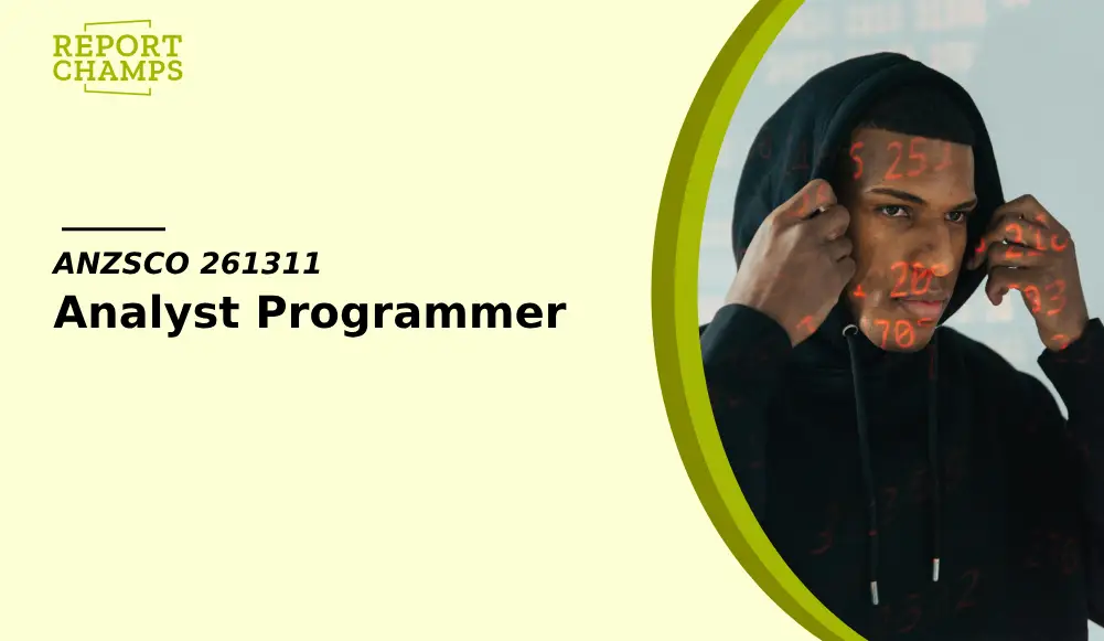 Analyst Programmer