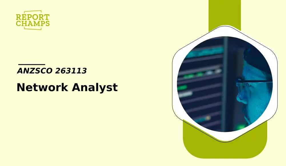 Network Analyst