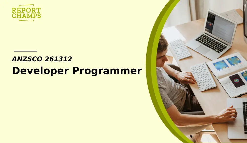 Developer Programmer