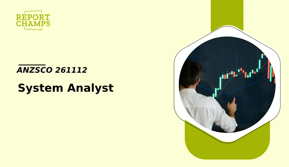 System Analyst